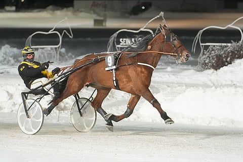 Henri Bollströmin ja Knows Manan yhteistyö sujuu: kolme starttia ja kolme keulavoittoa.