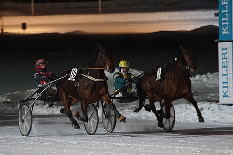 Santtu Raitalan ohjastama Yara Dream (10) sai tiukimman haasteen open strechille syöksyneeltä Pauli Luoman Armellilta.