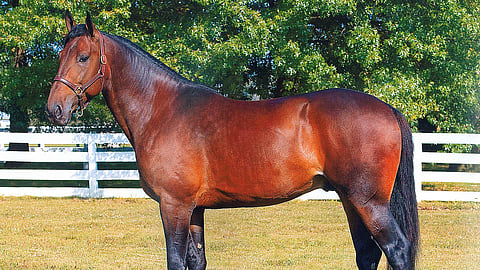 Explosive Matter on Cantab Hallin poika.