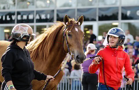 Pyssyharjun Roomeo esittäytyi Forssan kunkkarihuutokaupassa.