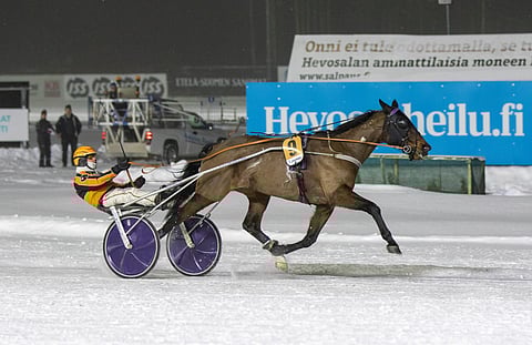 Jason's Camden on juossut tällä kaudella kaksi voittoa.