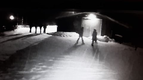 Ratsutallilla käytiin kuvailemassa aamuyöllä.  