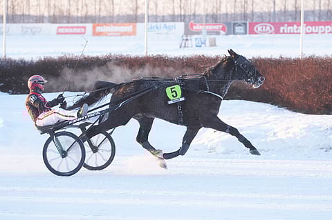 Santtu Raitala jatkaa lauantaina Elvis Travianin ohjissa.
