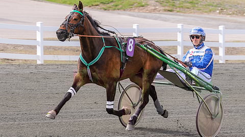 New Grove Waylon hakee kauden avausvoittoa ideavarmana.