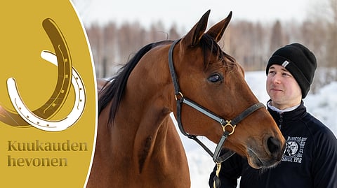 Ilos Sansibarin katse on kirkas, mieli iloinen ja askel keveä.