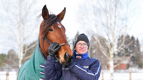 Tommi Ala-Nikkolan intohimo on nuoret hevoset. Niiden treenaamisen hän myös taitaa. Kuvassa oleva 4-vuotias Cassandra Orden kilpaili viime vuonna kahdesti ja voitti molemmat starttinsa.