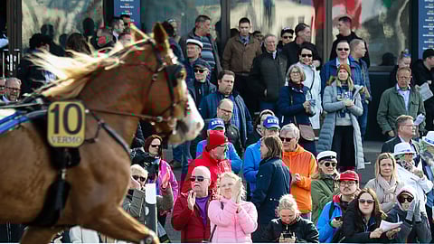 Kirjoittaja pohtii muistaako päätöksenteossa kukaan yleisöä, millaisia kilpailuja se haluaa raviradoilla nähdä.