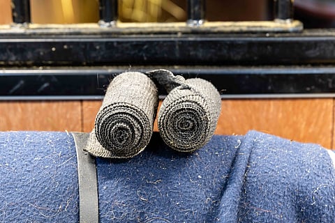 Harrastusinto ei ole aina palkinnoista kiinni.