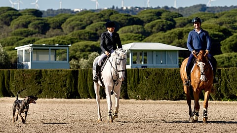 Pariskunta, joka ratsastaa yhdessä. Mutta miten on ruoanlaiton laita?