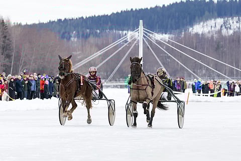 Kartello ja Mustamani Jyväsjärven jäällä.