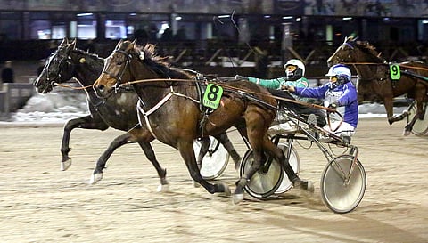 Veijo Heiskari on maksanut Wik's Noe Nee Peen kaikkiin suurimpiin ikäluokkakisoihin mukaan, koska tamma osoitti lahjakkuutensa jo nuorena. Niihin tähdätään myös tosissaan.