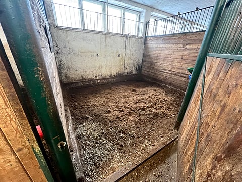 Turvetta kiitetään kuivikkeena sen kosteuden- ja hajunpoisto-ominaisuuksien vuoksi.