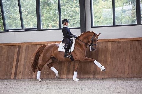 Rhapsodie otti voiton specialissa, mutta Steinberg ei erityisemmin iloitse Wroclawin viikonlopustaan. 