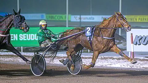 Ari Moilanen on ohjastanut Jontte Juniorin viime startit.