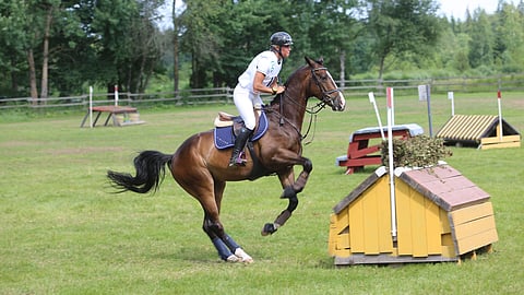 Bofey Clickin olympiavuosi alkoi hyvin. 