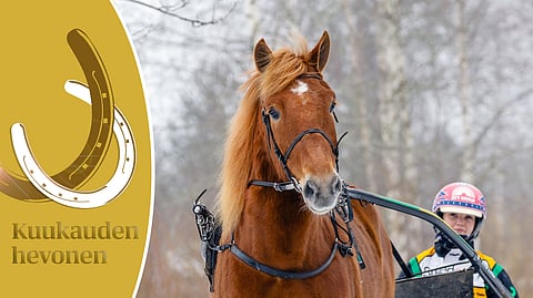 Tukkijätkä ja Oona Halme. 