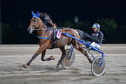 A Fair Day ja Oscar Ginman.