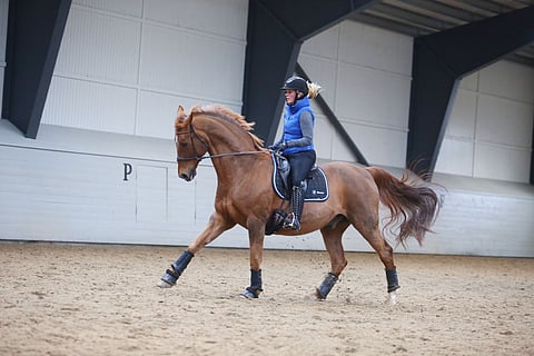 Tänään treenataan ilman kuolaimia.  