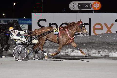 N.P. Liitotähti oli Kaustisella menopäällä