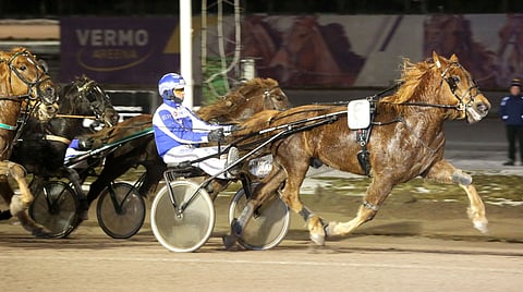 Karlo ja Esa Holopainen