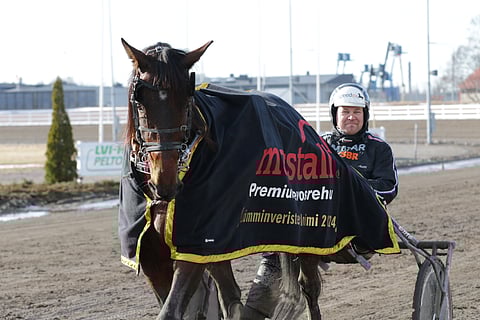 Dozen Of Oysters  antoi vahvan näytön Finlandia-Ajoon Porin Kultaloimessa.