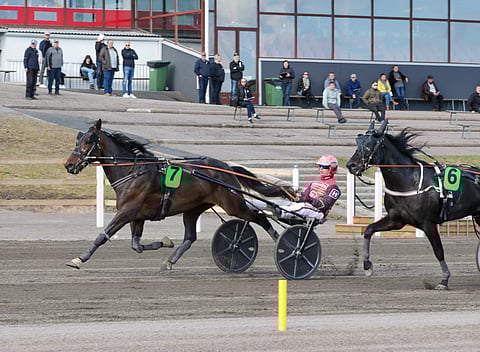 Global Deputy voitti reipas vuosi sitten Toto75-lähdön Lappeessa Santtu Raitalan ohjastamana.