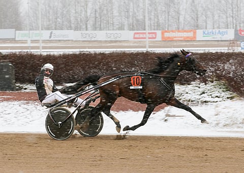 Iikka Nurmonen tuuletti Kurri Jari Bokon voittoa Etain Royal Stayerissa Seinäjoella.