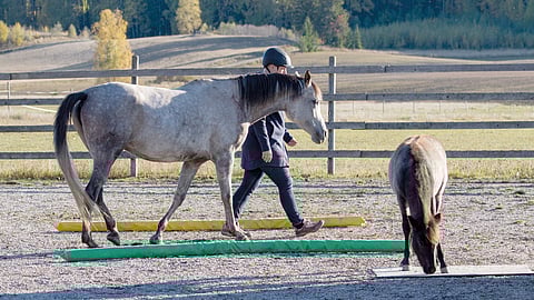 Lastauksen esiharjoittelua. 