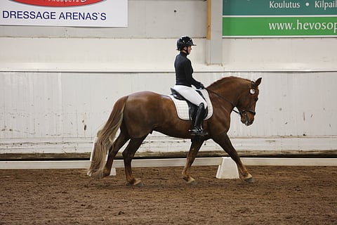 Siiri Kyrö testiratsasti Poutapäivän Aatoksen. 