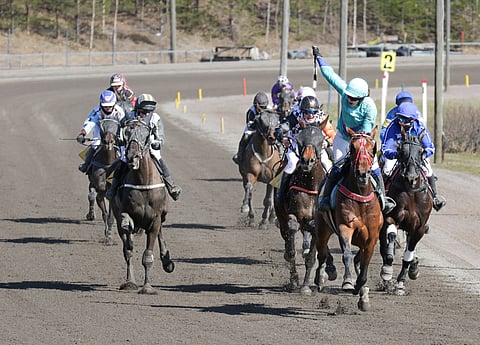 Monté Miisa Pulkkanen Tima's Miracle