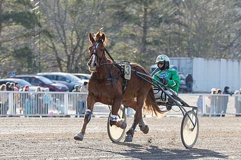 Hollaus aloitti kautensa lupaavammin kuin koskaan.