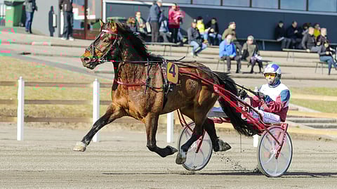 Birger rattaillaan Mikko Valtonen