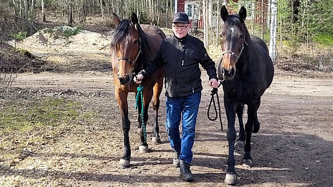 Pentti Parkkonen ja siitostammat Easy On The Eye ja All In All.