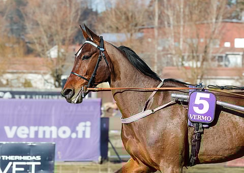 Global Withdrawl menee alkuviikosta tutkimuksiin.