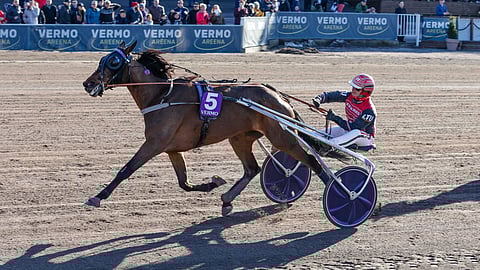 Global Withdrawl voitti vuosi takaparin Helsinki-ajon keulasta.