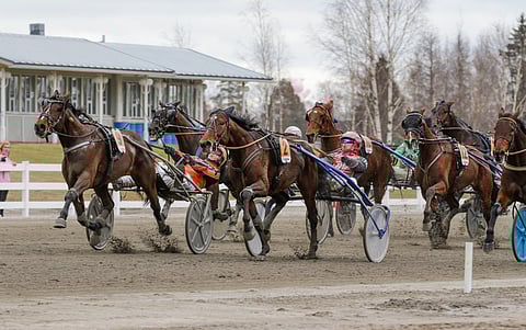 Marlon Boko (9) ankkuroi suosikkina muuten vaikean Toto75-rivin Jokimaalla. 