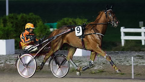 Kyvykäs Cool Flame on toinen Teivon illan varmoista.