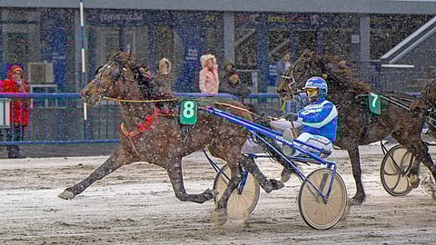 Fantasy Boy syöksyi lumisateen seasta voittoon.