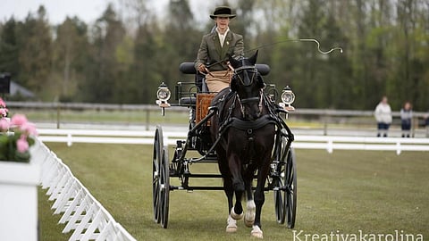 Tove Söderholm ja Ballantine