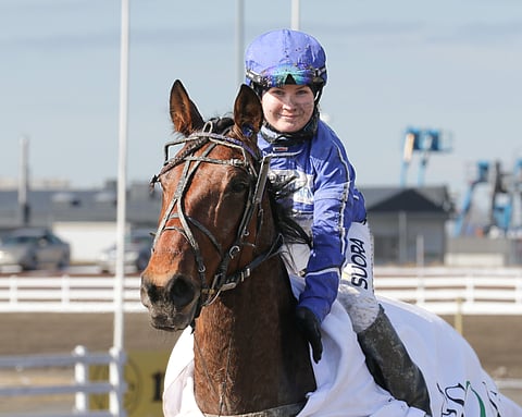 Anne Kankaan valmentama ravihevonen Quite A Lover