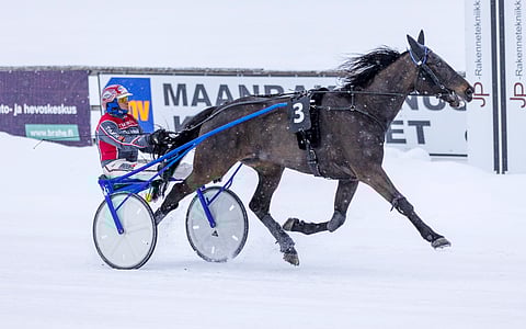 No Limit Royalty starttaa lämminveristen hopeadivisioonakarsintaan kolmosradalta.