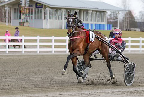 Santtu Raitala on ohjastanut yhtä lukuun ottamatta kaikki Halley Wanian startit.