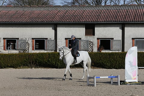 Kuvassa Philippe Rozier ja hänen yksi Pariisin projekteistaan. Mutta myös karsinansa ikkunassa nuokkumassa Enzo Louvo.  