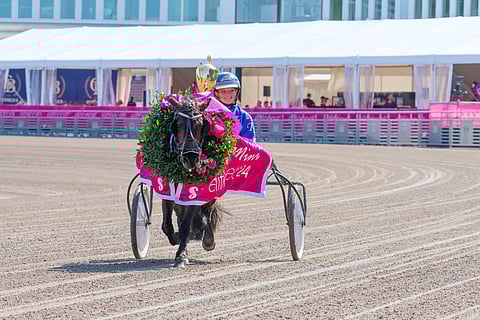 Euforia seppelöitiin toistamiseen Mini Elitloppetin voittajaksi.