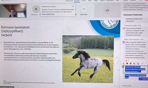 Webinaari jätti osan ihmisistä hämmentyneiksi siitä, mihin asetuksella pyritään.  Webinaaria kuunteli enimmillään noin 350 ihmistä. Essi Wallenius alusti hevosen lajityypillisistä tarpeista.