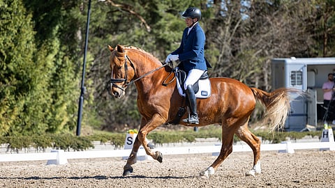 Vekardo on "erinomaisessa kunnossa", kertoo Lassi Lehmusto. 