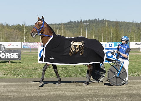 Henna Halme ja Condor Bar voittajina Kuopiossa 18.5.2024.