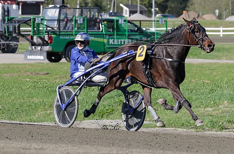 Alma Cotter lunasti torstain voitollaan paikan Tammavaltikkaan.