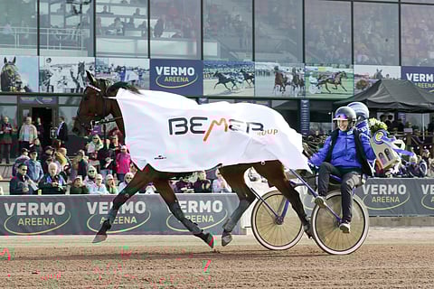 Amazing Player lunasti paikan Solvallan hopeadivisioonan finaaliin Vermon karsinnan voitolla.