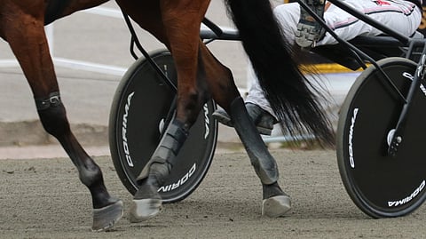HU kysyy: Onko perjantai Suomen ravien uusi pääpäivä?